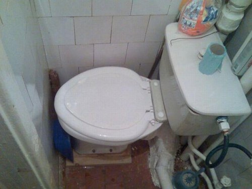 Damy radę